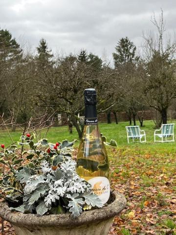 "Aux Chants Des Oiseaux" Domaine De La Renardiere Les Grandes-Loges Zewnętrze zdjęcie