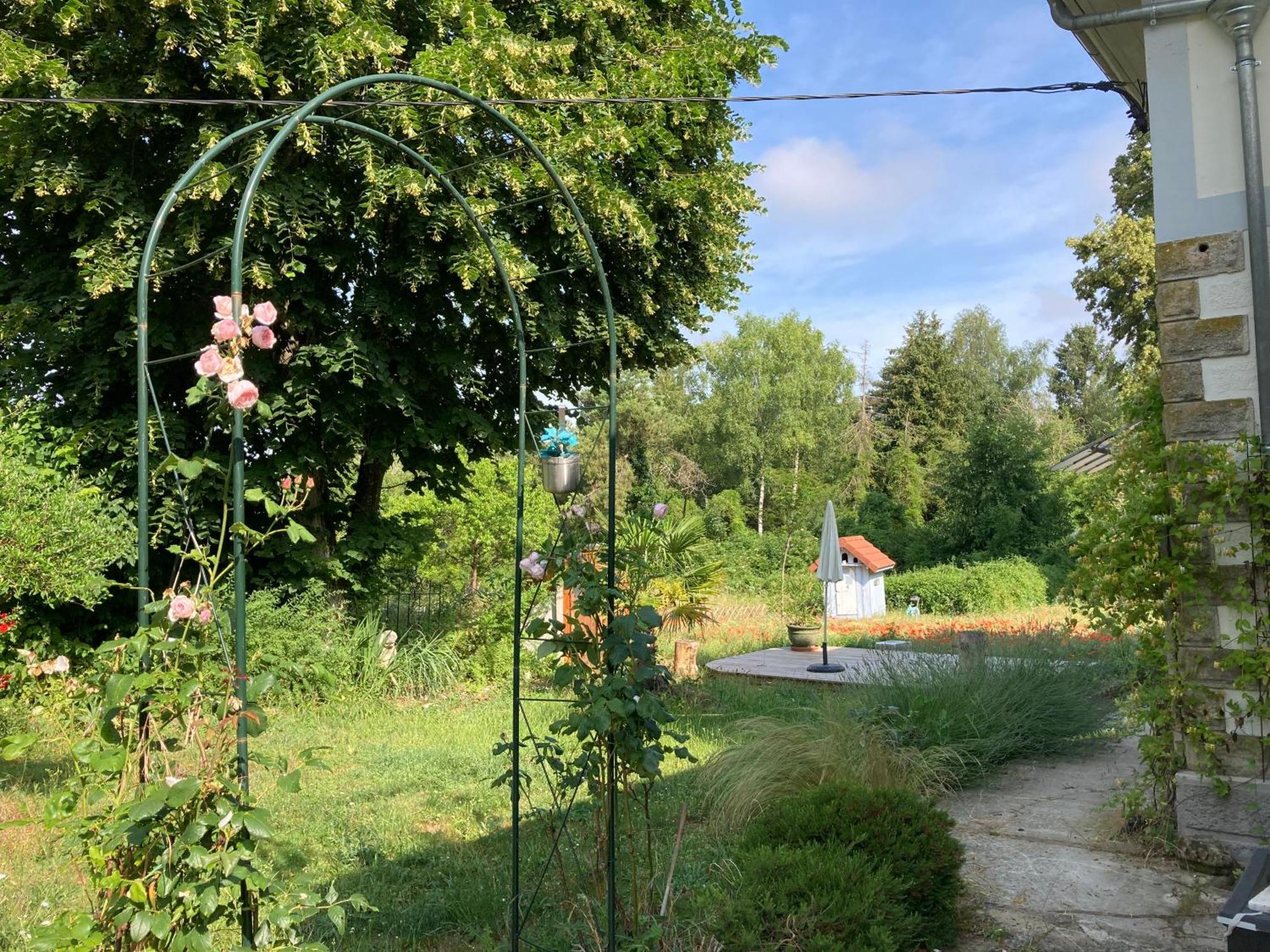 "Aux Chants Des Oiseaux" Domaine De La Renardiere Les Grandes-Loges Zewnętrze zdjęcie